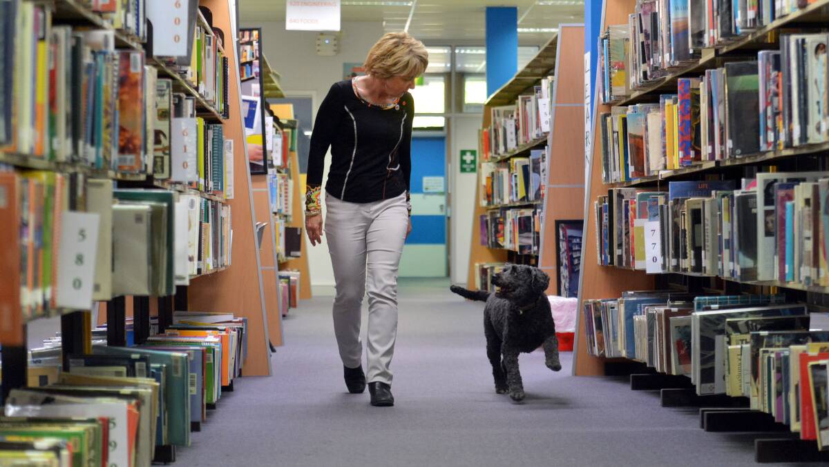 A Librarian's Dog:  Roxy helping out his mum Jenn at the Bendigo Senior Secondary College Library.
Picture: BRENDAN McCARTHY