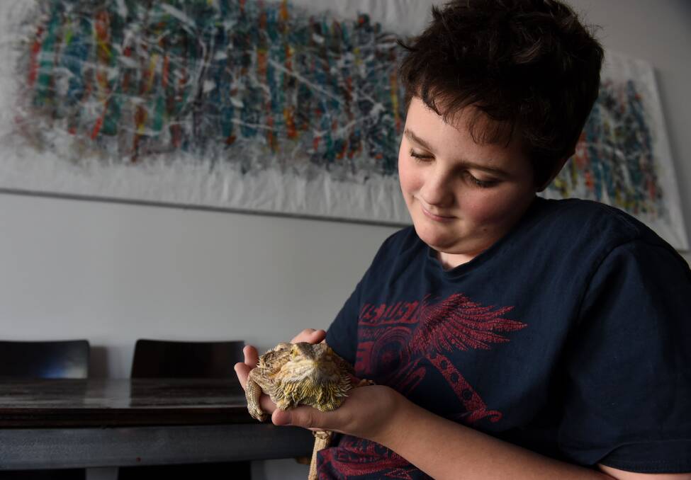 BRAVE: Will Thompson, 12, pats his pet bearded dragon Spike. Picture: JODIE WIEGARD 