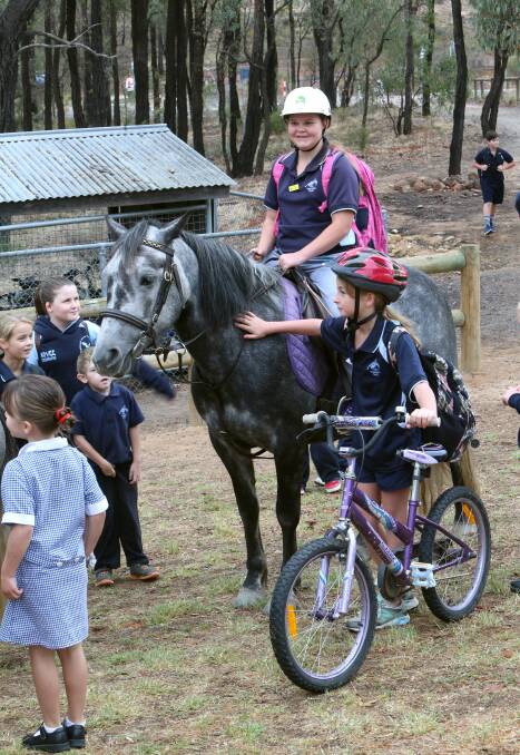 Eaglehawk North PS student rides her horse. Picture: PETER WEAVING