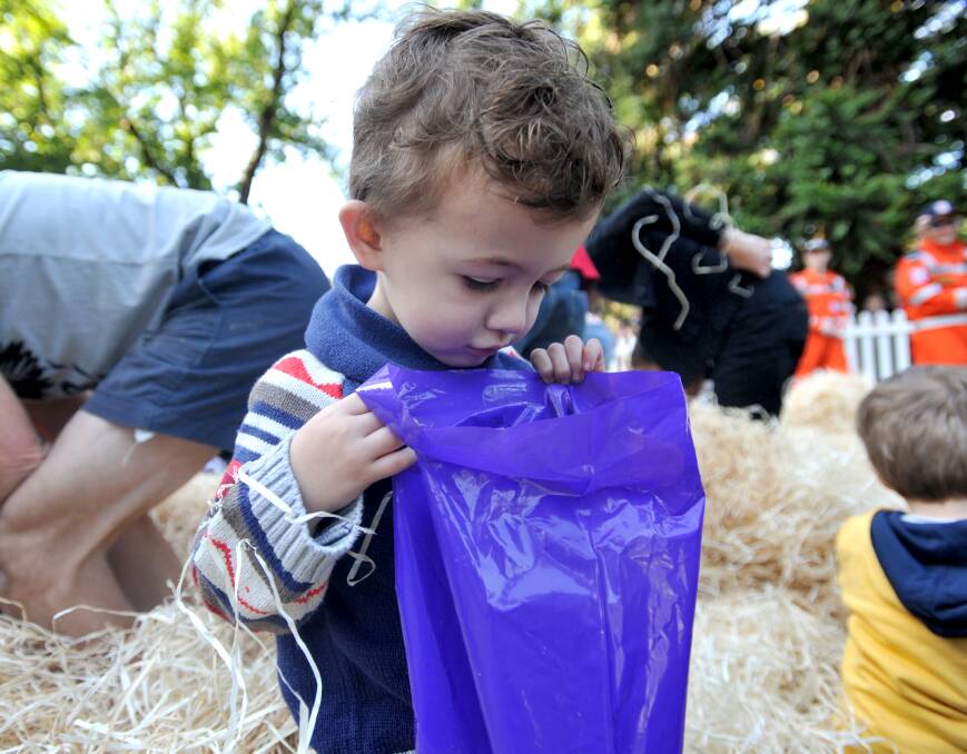 SATISFIED: Three-year-old Chase Hinton checks out how many eggs he collected. Picture: JODIE DONNELLAN 
