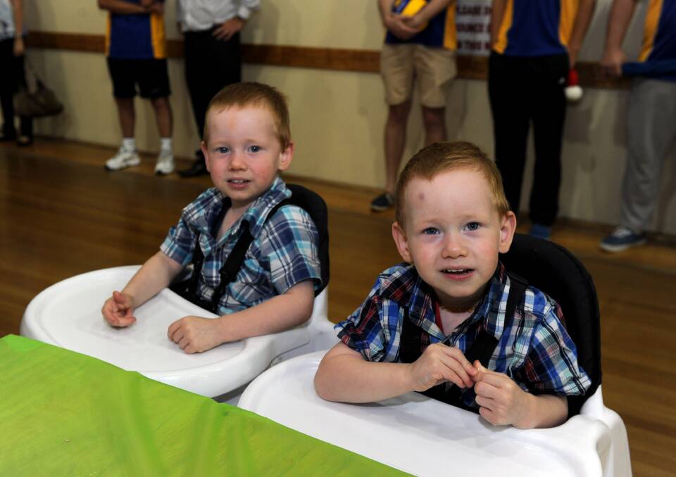 Two-year-old twins Seth and Aiden Halliwell. Picture: JODIE DONNELLAN 
