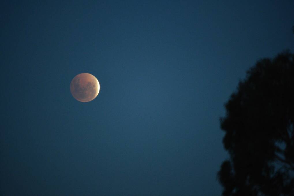 FASCINATING: The lunar eclipse over Bendigo. Picture: BRENDAN McCARTHY