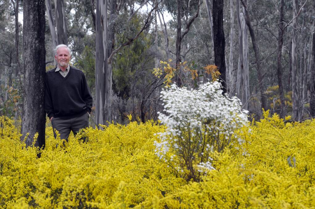 Bendigo and District Environment Council convenor Stuart Fraser in the Wellsford Forest. Picture: BRENDAN McCARTHY
