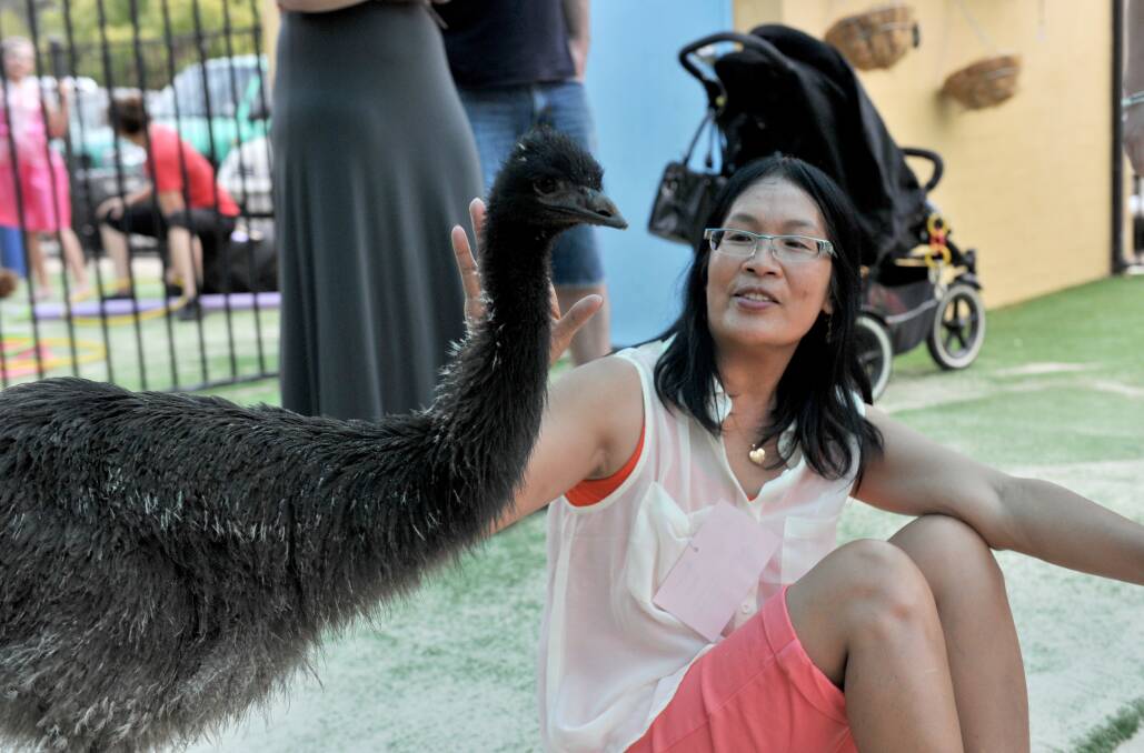 Pip the baby emu from Tooko Wildlife Displays and staff member Maggie Cockfield. Picture: JODIE DONNELLAN 
