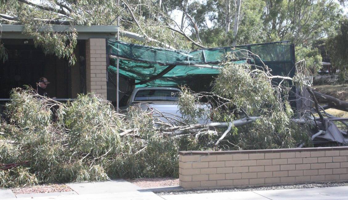 DAMAGE: A tree fell on a carport in Carolin Street Flora Hill. 