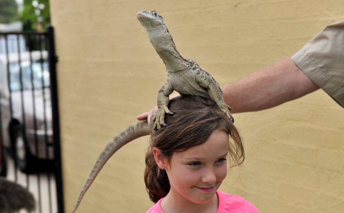 DON'T MOVE: Tori Roberts and Spencer the goanna at the Goodstart Early Learning fundraiser on Saturday. Picture: JODIE DONNELLAN