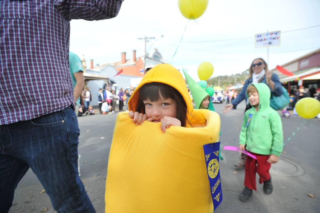The Maldon Easter Fair. Picture: JODIE DONNELLAN