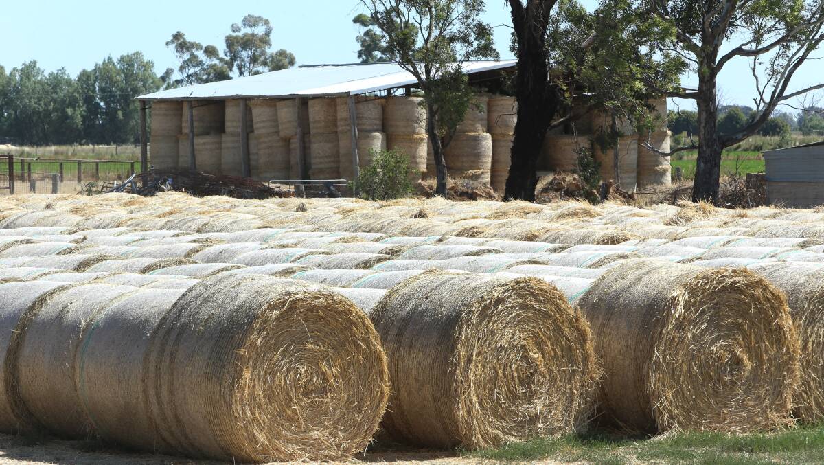 It was a good year for hay at Lockneell. Picture: PETER WEAVING