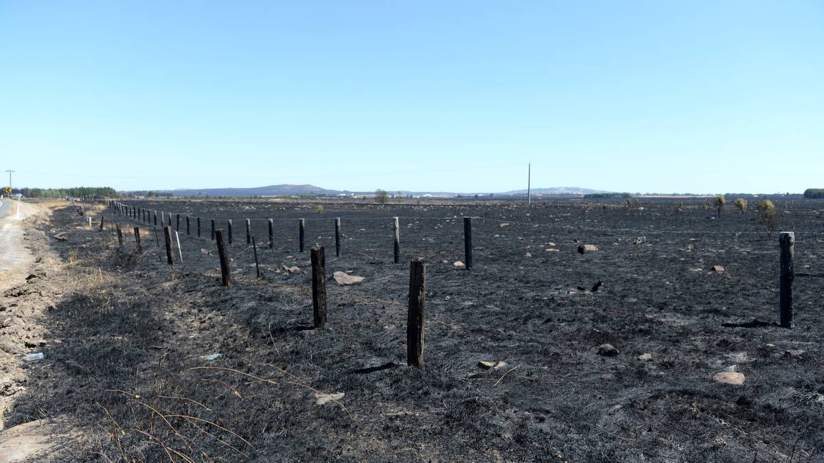 Fencing burnt near Riddells Creek.