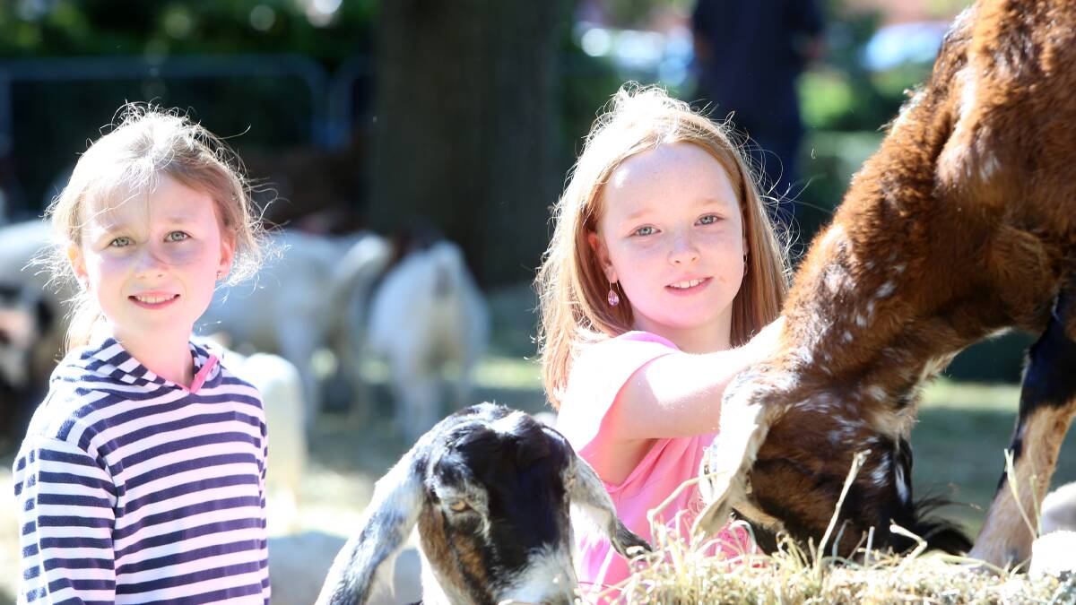 Matilda Garlic, 8, and Grace Miles-Forbes, 9. Picture: GLENN DANIELS 