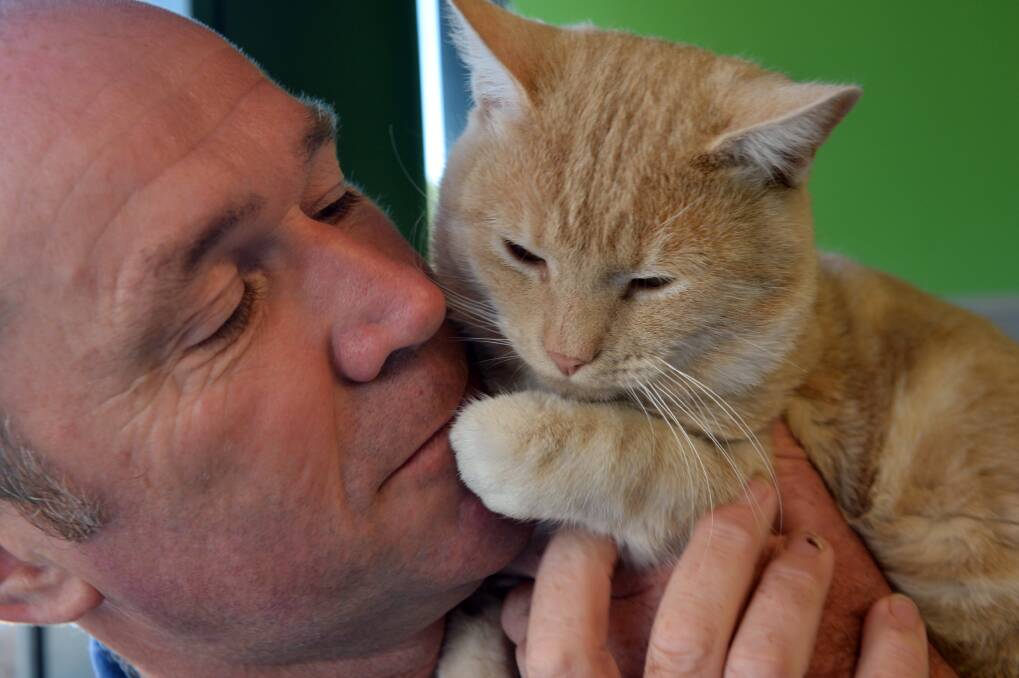 RSPCA Bendigo shelter manager Mark Goodwin with Mitchell. Pictures: BRENDAN McCARTHY