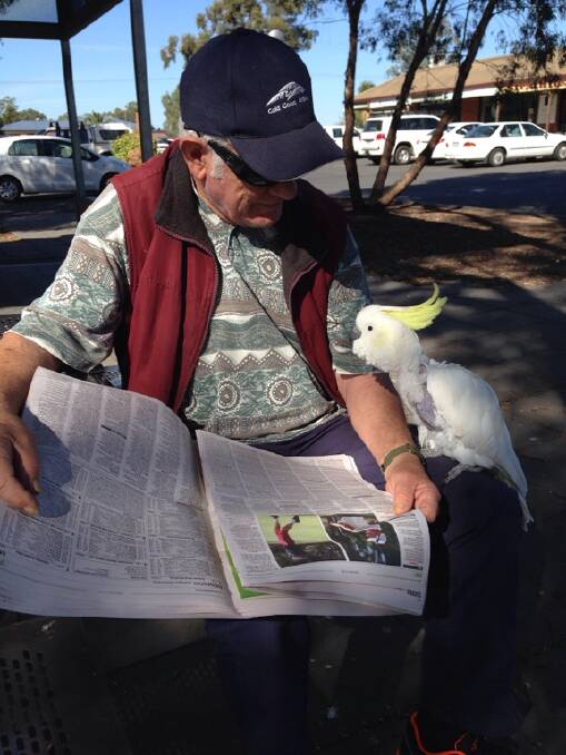Victor Pekarsky was sitting at Strathfieldsaye bus stop reading the Bendigo Advertiser with Jo, his 70-year-old pet Cocky, writes KATHY MAHER