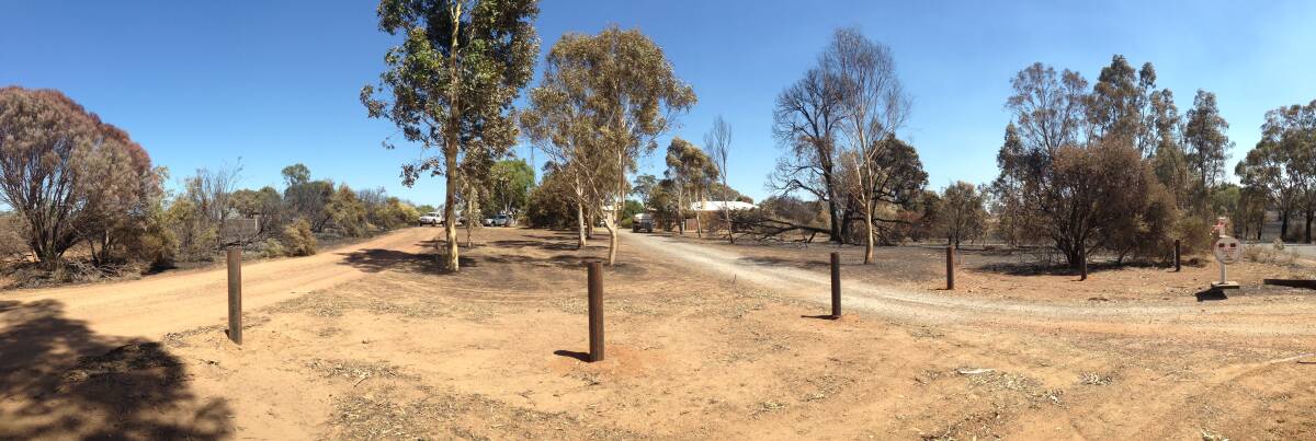 PATH OF DESTRUCTION: This panoramic photo shows damage to the front yard of the Grimble house at Brimpaen, looking west towards the family home and shedding. Picture: JESSICA GRIMBLE