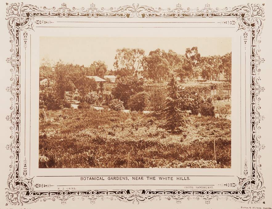 Botanical Gardens near the White hills, from Darren Wright collection
