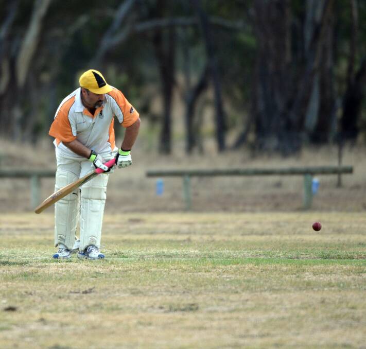 SOLID KNOCK: Rob Fisher made 88 for Axe Creek against Mandurang. Pictures: LIZ FLEMING