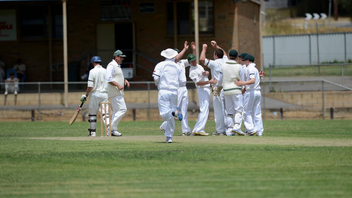 Players celebrate a wicket