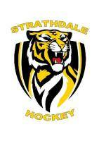 Triumph for Strathdale Tigers