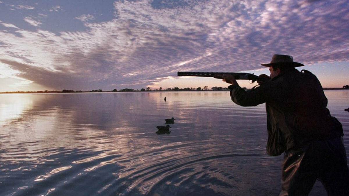 Duck hunting proves a hot topic