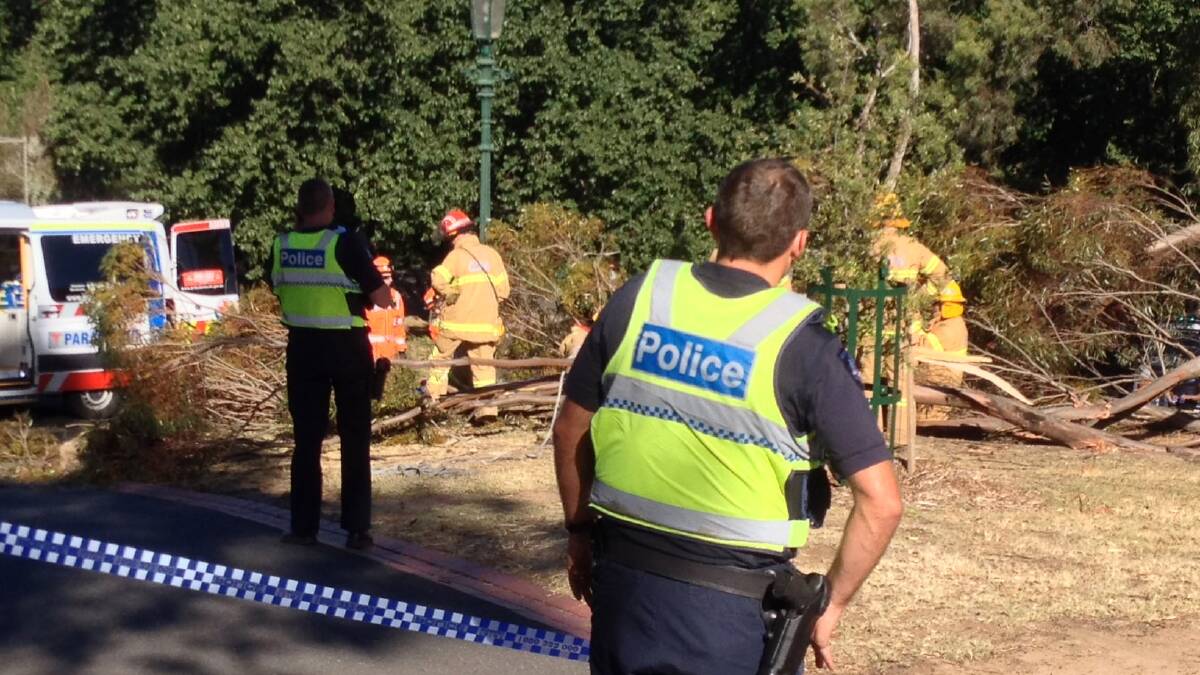 TRAGEDY: Emergency services attend the scene where a branch fell killing a four-year-old and seriously injuring her mother. Note: This picture has been digitally altered due to the sensitive nature of the incident. Picture: BRENDAN McCARTHY