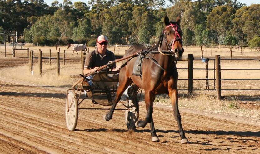 Trainer Paul Campbell puts Race For Fun Club filly Tiser through her paces.