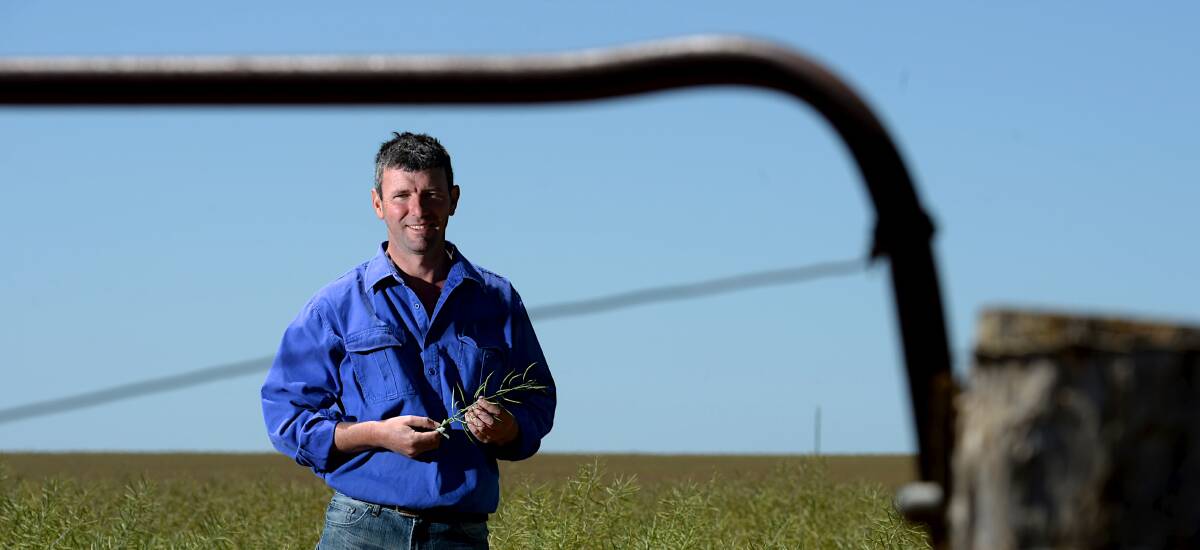 ISSUE: VFF Grains Group president Brett Hosking on his Quambatook farm. Picture: THE AGE