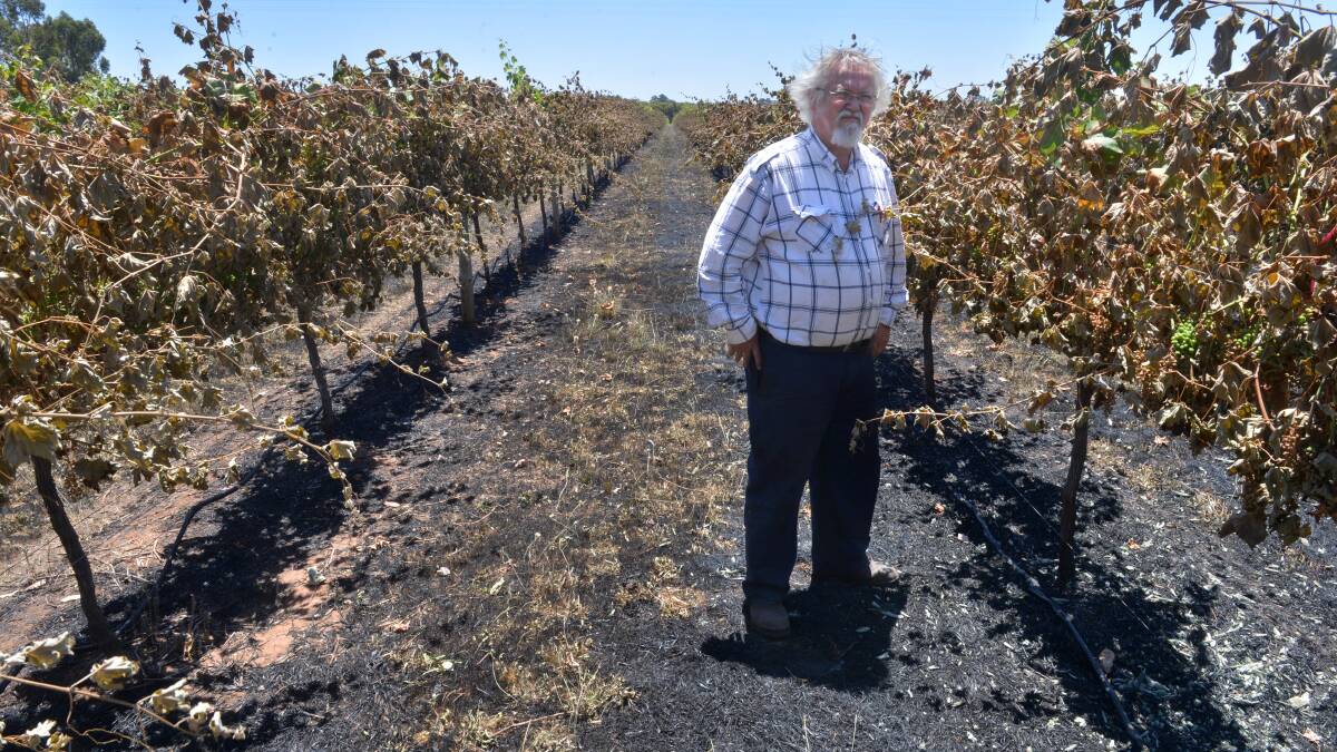 DESOLATE: Brian Spencer checks the fire damage at Cornella Ridge Estate winery. Picture: PETER WEAVING