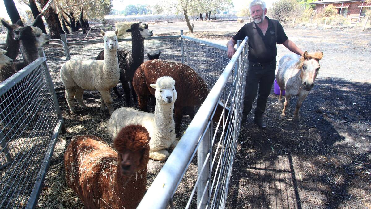 REBUILD: A fire destroyed sheds and burnt two alpacas at Ray Smith's property. Picture: PETER WEAVING