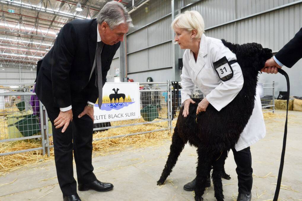 SHOW AND SALE: Agriculture Minister Peter Walsh with Sue Pate of Hidden lake Alpaccas. Picture: BRENDAN McCARTHY 