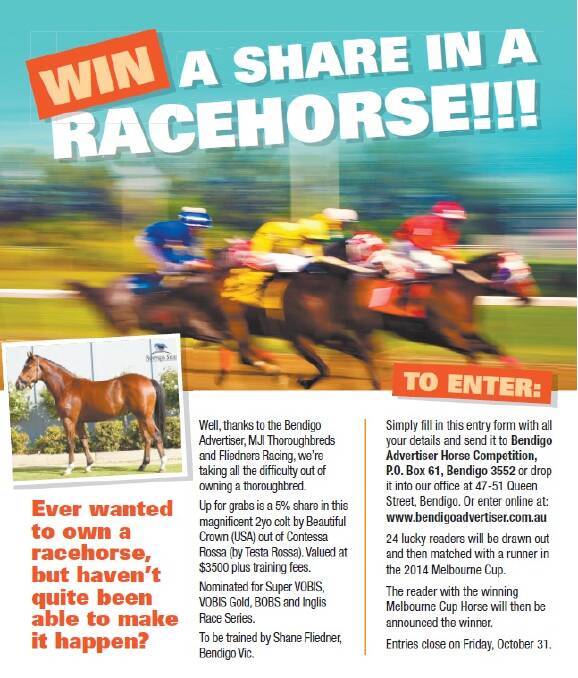 Win a share in a racehorse