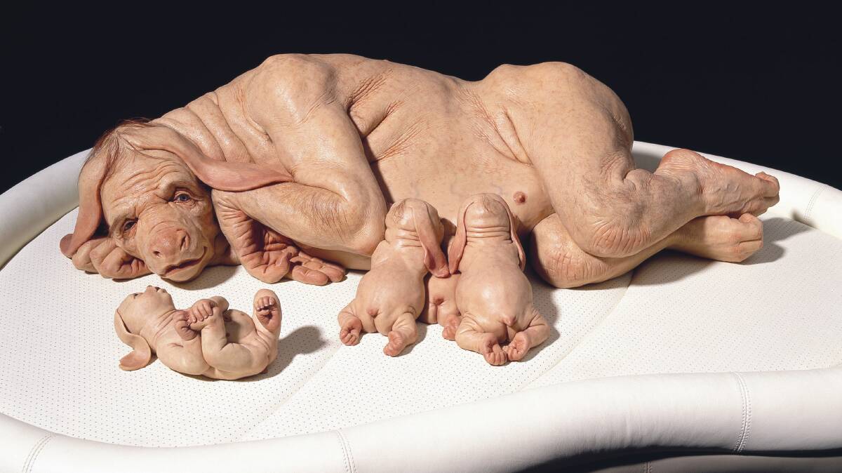 Patricia Piccinini, The Young Family, 2003. Silicone, acrylic, human hair, leather, timber. RHS Abbott Bequest Fund 2003.