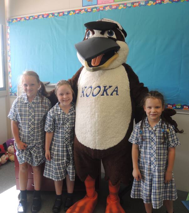 Kooka visits St Francis of the Fields Primary School: Pictures