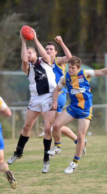 STAR MAGPIE: Maryborough is confident Tyson MacIlwain will stay with the club for 2014.
