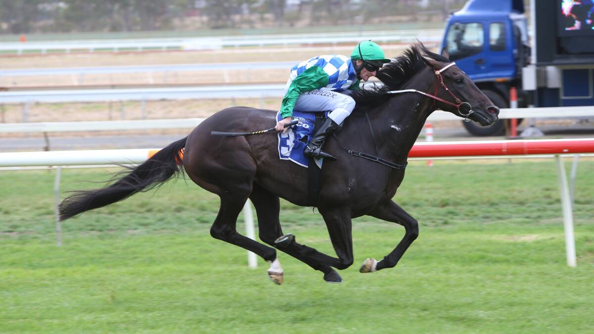 Signoff thumps its rivals in the Stayers Championships Final.