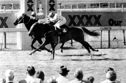 RING-IN: Fine Cotton, or Bold Personality as it really was, winning at Eagle Farm in 1984. 