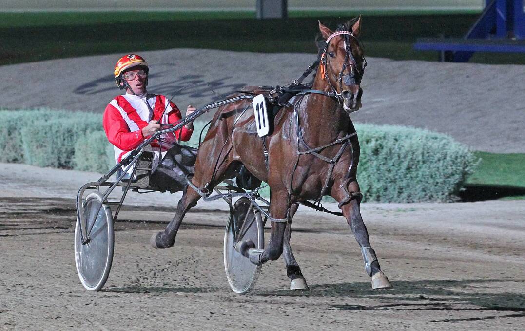 Bitobliss will be the horse to beat in Saturday night's Bendigo Pacing Cup.