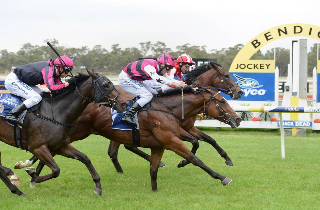 TIGHT FINISH: Paddy's Gem, middle, defeats Belle Couture, inside, by a short half-head, with Bendigo galloper I'm An Outoftowner a close-up third. Picture: JIM ALDERSEY