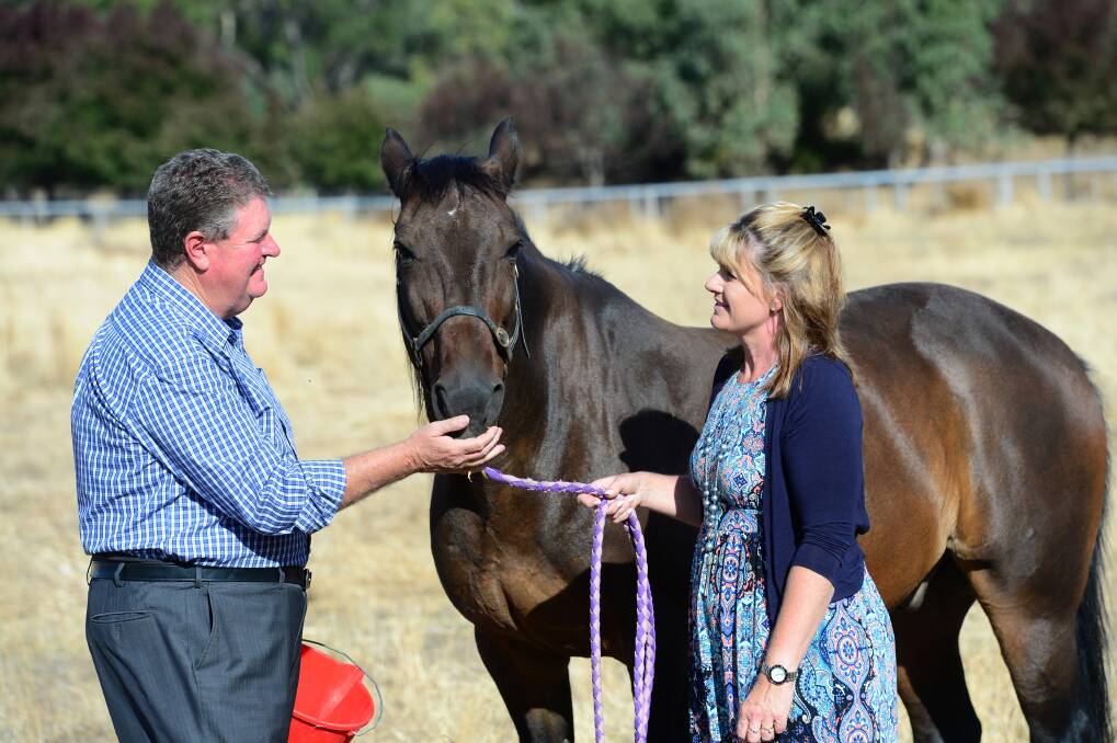 STABLE FAVOURITE: Brendan and Pam Drechsler with their retired pacer Jack Denver.