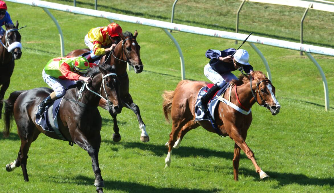 Bring Something (left) and Massiyn (right) battle out the Jayco Bendigo Cup. Picture: PETER WEAVING.