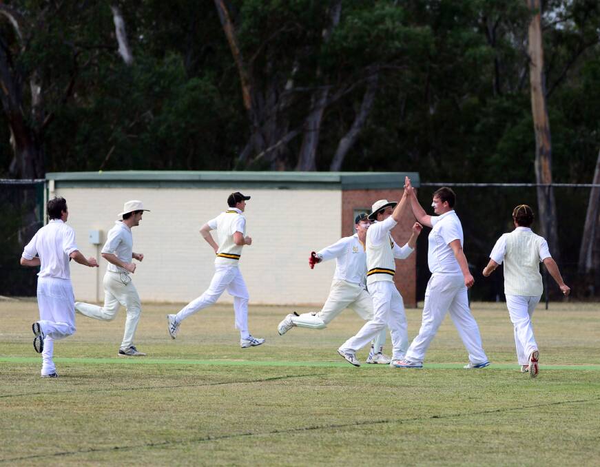 GOT HIM: United's Alex Collins celebrates one of his six wickets against Emu Creek in the EVCA grand final. Picture: LIZ FLEMING