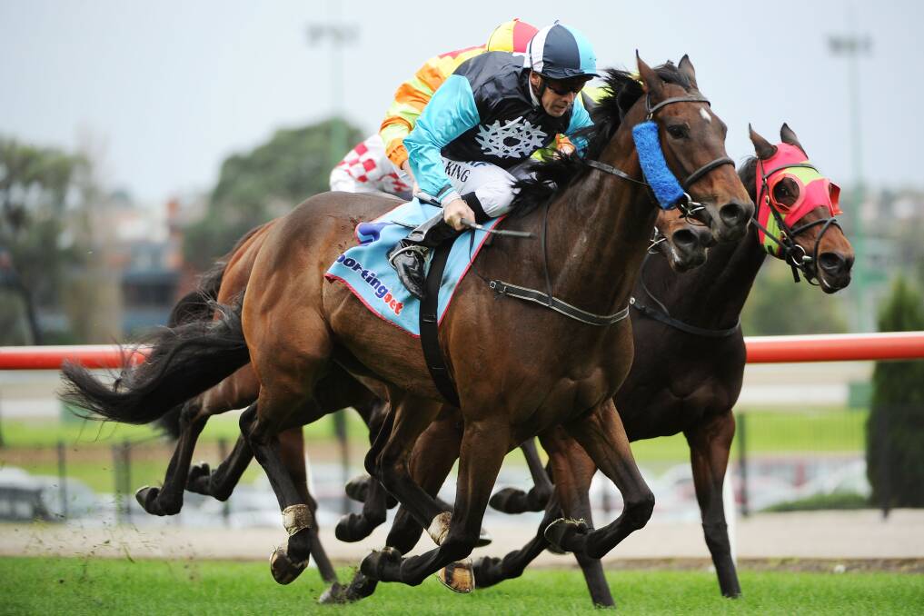 IMPRESSIVE: King Of Manners, ridden by Steven King, wins over 1600m at Moonee Valley on Saturday. Picture: GETTY IMAGES