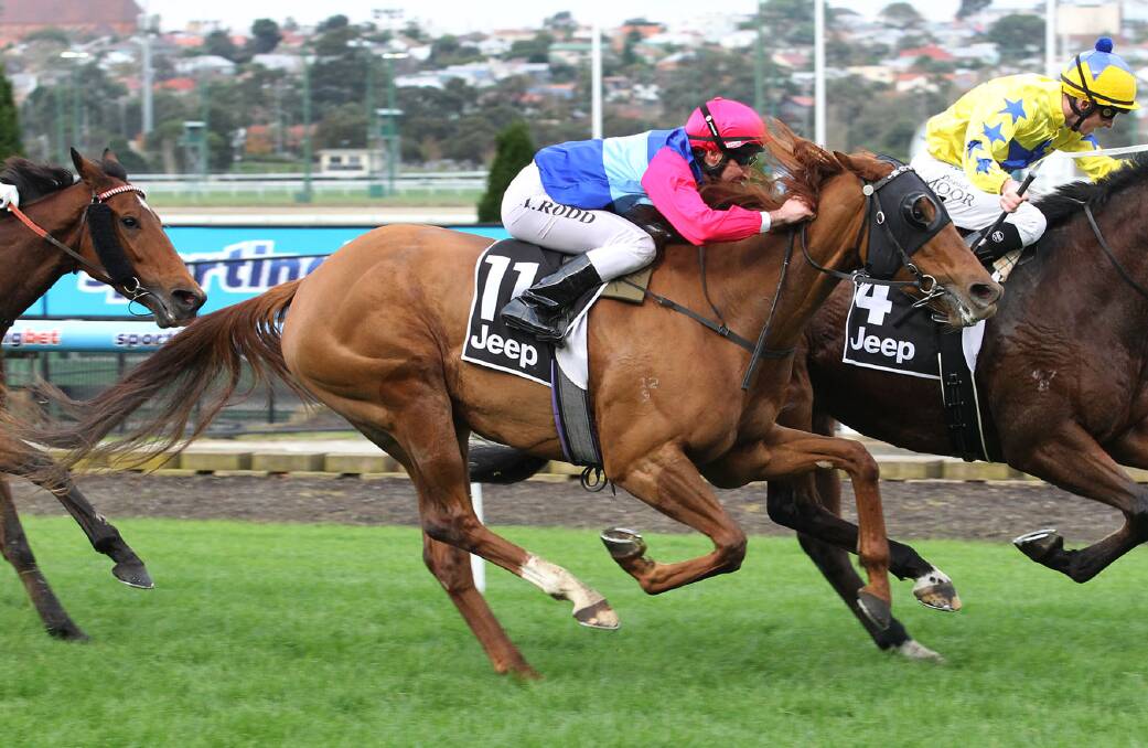 HIGH CLASS: Hai Lil storms home to win at Moonee Valley last campaign. Picture: SLICKPIX