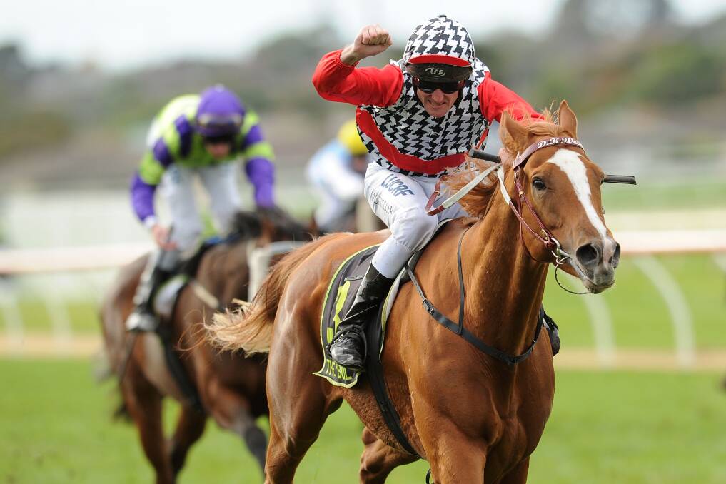 PUMPED UP: Brad Rawiller punches the air as Akzar crosses the finish line to win the Warrnambool Cup. Picture: GETTY IMAGES