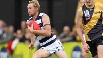FIT AND FIRING: Former Bendigo Gold star Matthew Farrelly is relishing his new role with Geelong's VFL side. Picture: ARJ GIESE