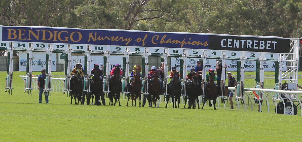 The field leaves the barrier in the 2013 Marong Cup.