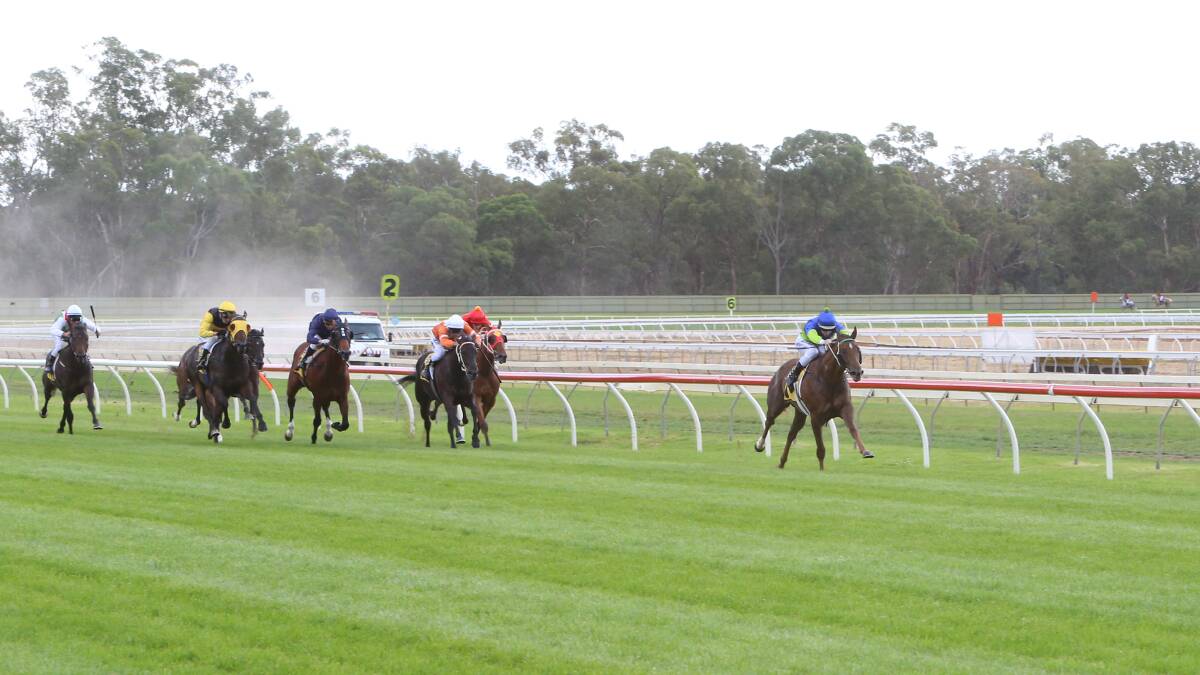 Eloping thrashes its rivals to win the VOBIS Gold Rush.