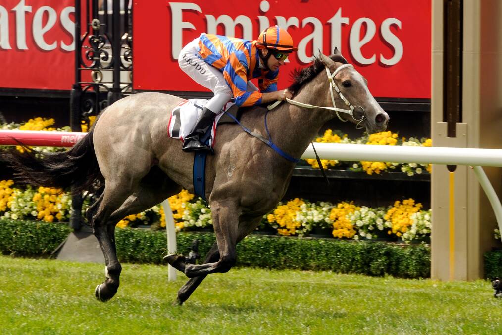 AT HER BEST: Villa Verde surges clear to win down the straight at Flemington. Pictures: THE AGE