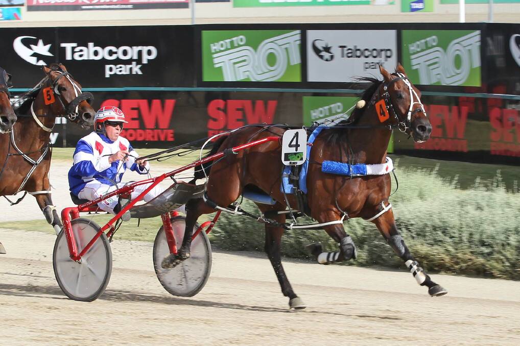 HARD TO BEAT: Im Corzin Terror is ideally drawn to run a big race in the Bendigo Pacing Cup.