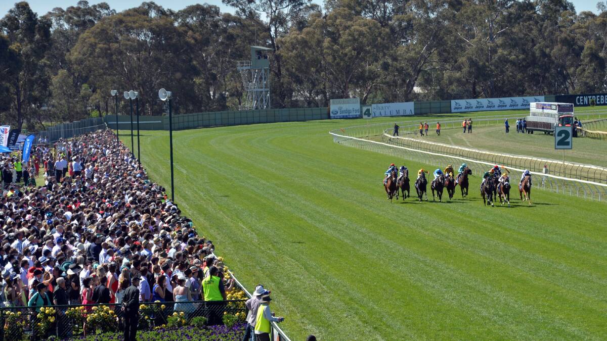 Rating boost for Bendigo Cup