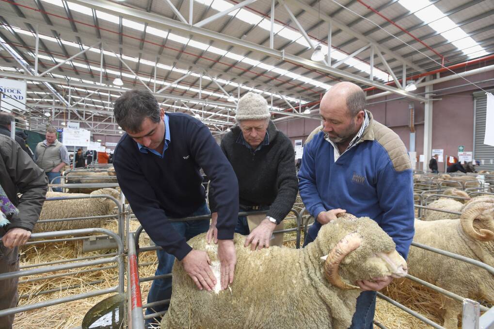 EVALUATE: Jarrod Demarco, Vince Pender and Peter Lett looking at a Conrayn Merino fleece. Picture: JIM ALDERSEY
