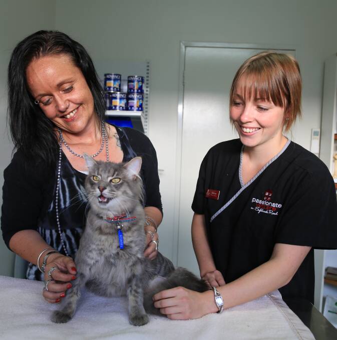 LUCKY: Vanessa Webster, Charlie the cat and vet nurse Alanna Botten. 